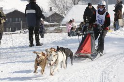 Lenk 2012 SM